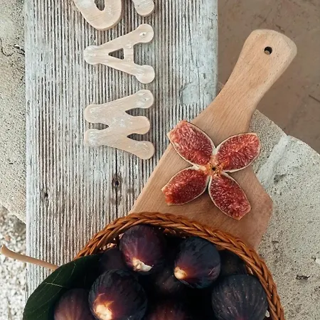 Massi *
