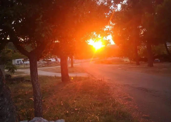 Massi * 洛科罗通多